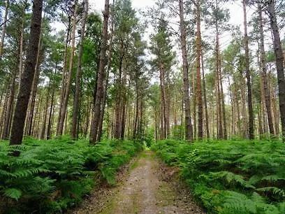 La Normande Дом отдыха *